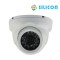 SILICON CAMERA INDOOR RSI-099S