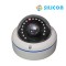 SILICON CAMERA INDOOR RS-212CMR